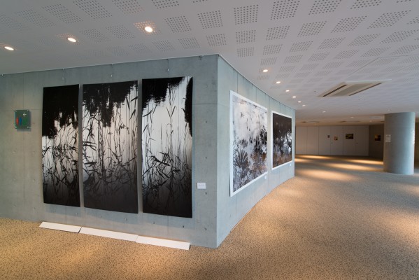 Installation "View The View from Nowhere" 2013