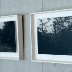 《それ以外ーothers》ゼラチンシルバープリント、508×610mm、2枚、2011