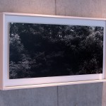 《それ以外ーothers》ゼラチンシルバープリント、60x100cm、2010