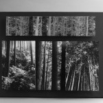 《それ以外ーothers》ゼラチンシルバープリント、45×50cm,
2010